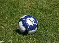 奇异果体育,产品,奇异果体育平台,奇异果体育平台,奇异果体育官方网站,奇异果体育登录入口,奇异果体育app下载