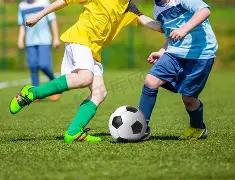 詹姆斯乐福,聚首,篮球睿智共,奇异果体育平台,奇异果体育官方网站,奇异果体育登录入口,奇异果体育app下载