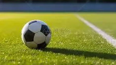 体育快讯AI播报：昨日凌晨体育焦点回顾 丨2025年8月30日