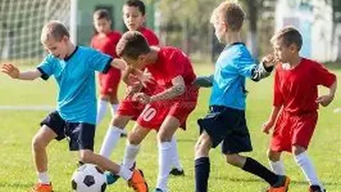 奇异果体育 产品 105522 lmh