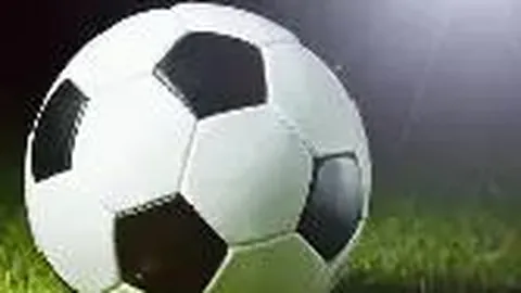 奇异果体育 产品 105531 14p