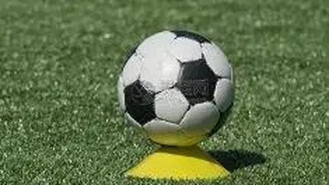 奇异果体育 资讯 105003 rcc