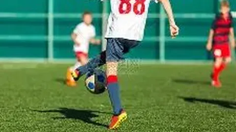 奇异果体育 产品 131611 nq0