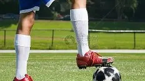 官方授权明星棋牌乐园