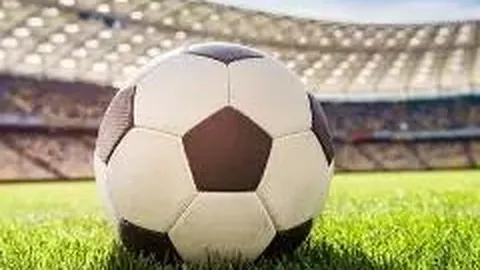 奇异果体育 产品 125858 vsi