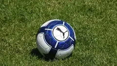 奇异果体育 产品 130453 zwx