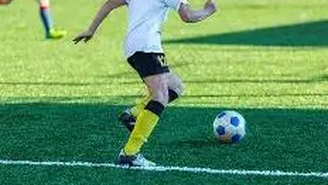 WebMoney（WMZ）注册认证及提升指南！