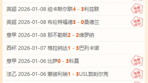 “2025熊猫伙伴全球峰会：共话人自然和谐共生未来盛大开幕”